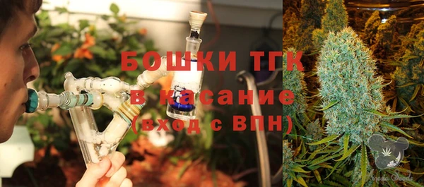 тгк Алзамай