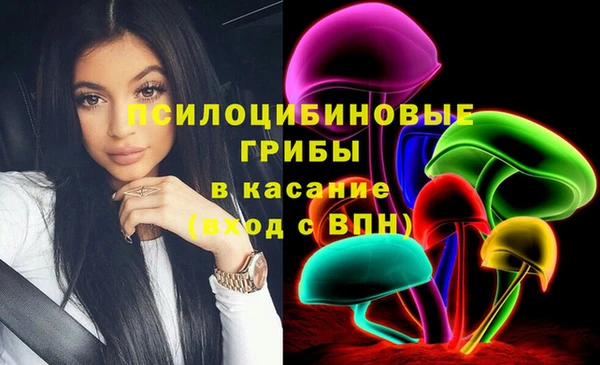 тгк Алзамай